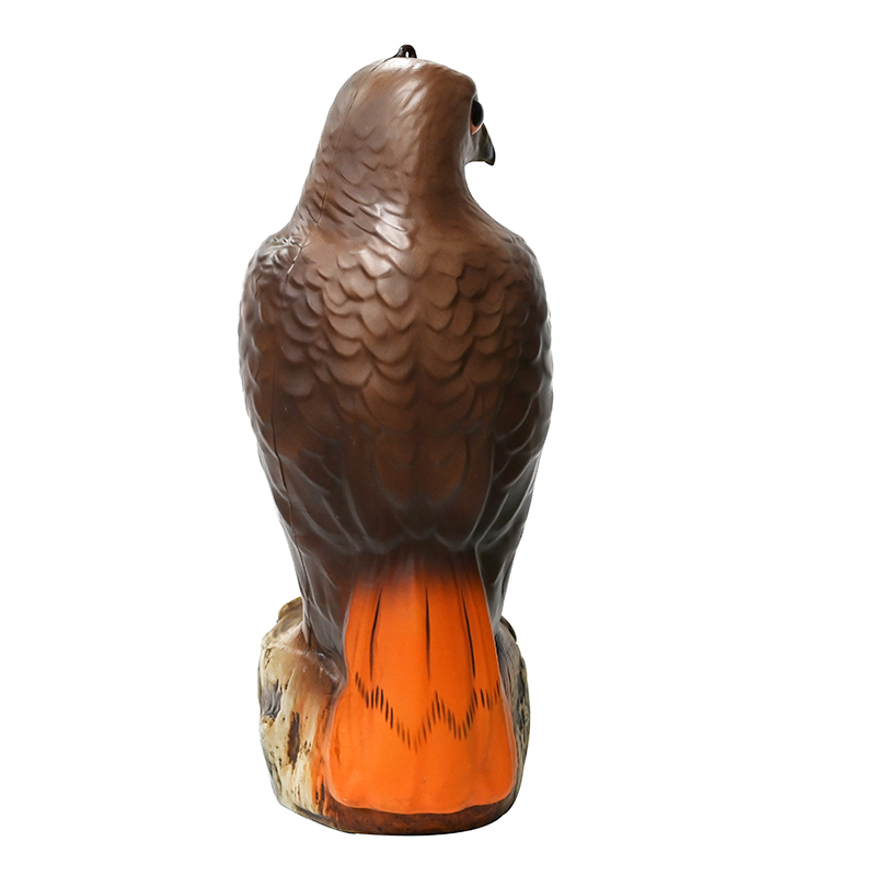 Blow Molded Eagle မော်ဒယ်